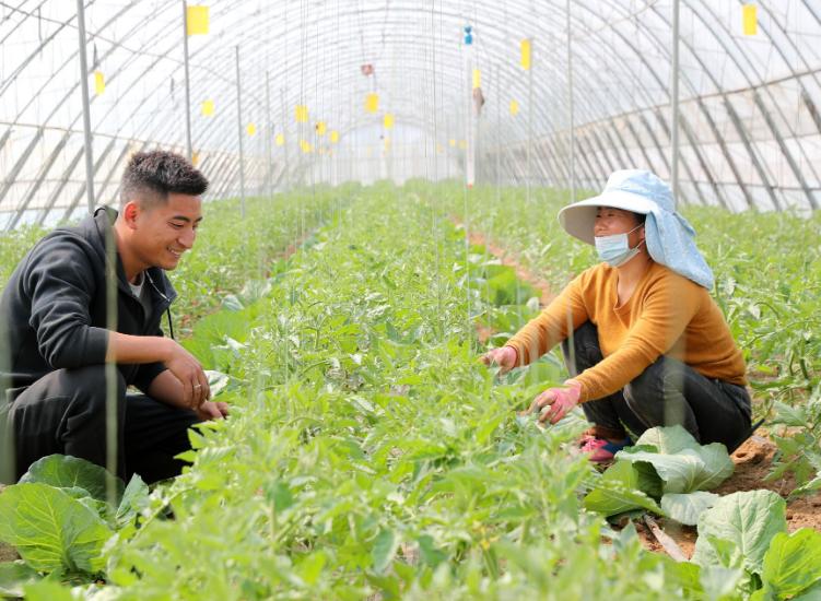 未来农村打工的前途是什么,回农村创业好还是在城市打工好