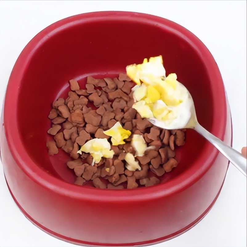 狗狗自制狗粮怎么喂最好,怎么给狗狗做最好的狗粮