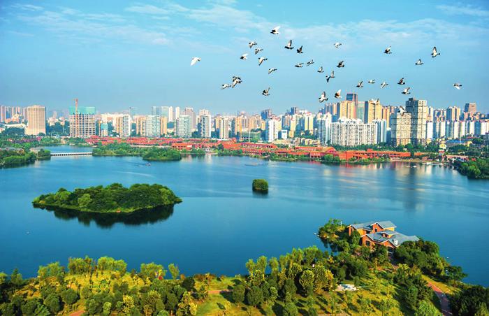 助力湖南文化产业高质量发展,湖南文化高质量发展