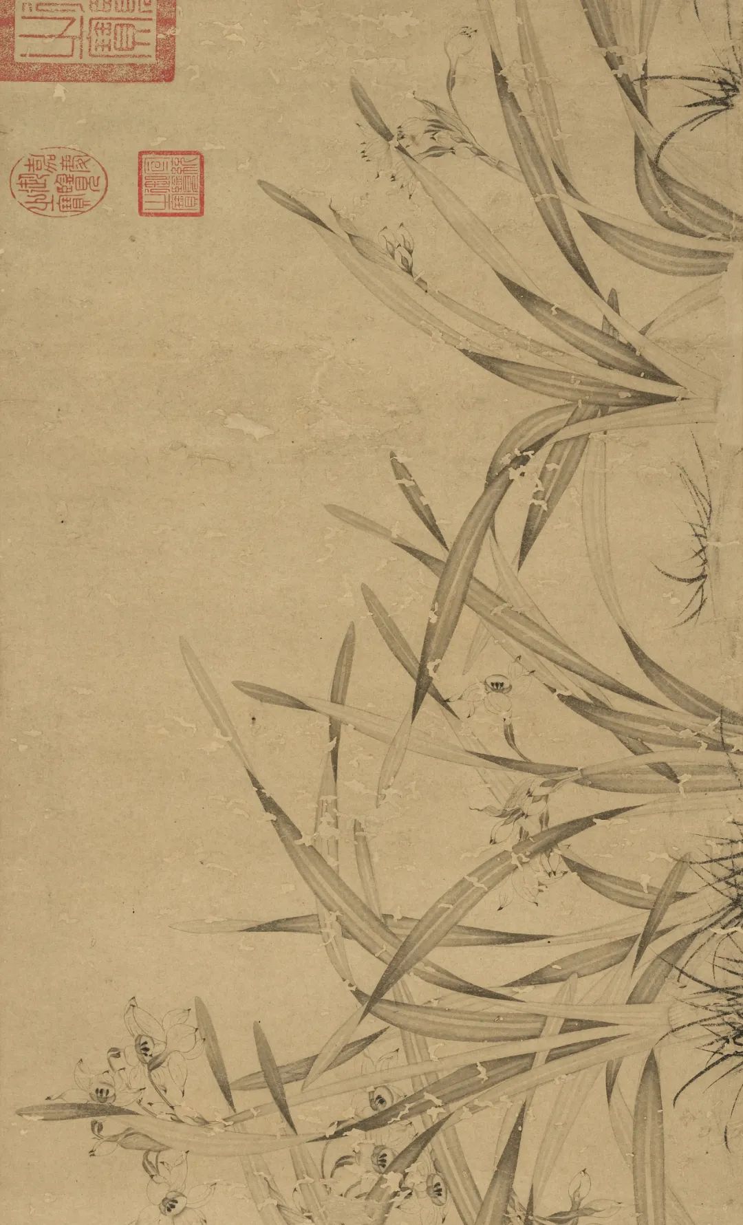 慕容看世界的视频,慕容看世界所有视频