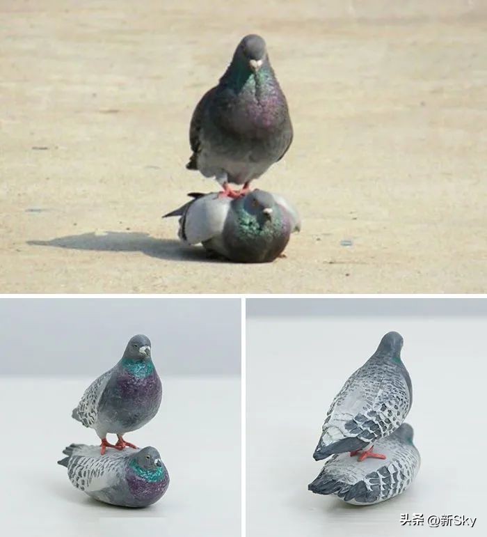 哈哈哈，这个神经手办又双叒更新了，笑惨我了