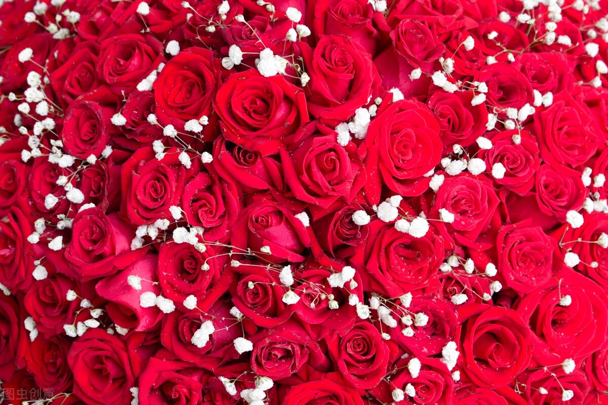 520走心文案一路走来,520长篇走心的文案