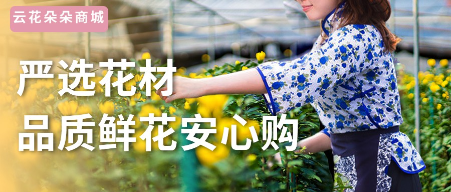 情人节鲜花进货渠道,情人节鲜花网上订购