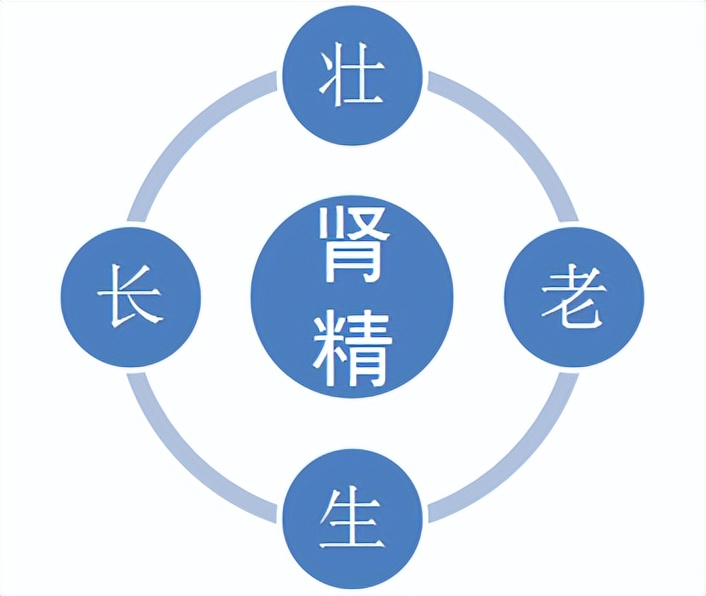 肾精亏采用补气补血治疗,肾精充足百病自消出自哪个名著