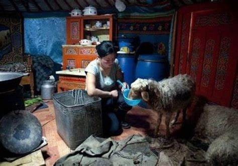 蒙古国和内蒙古的人关系好吗,蒙古国和内蒙古的人一样吗