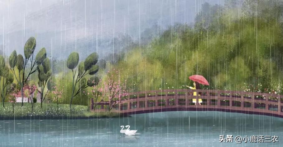谷雨对农村有什么说法,老一辈对谷雨的说法
