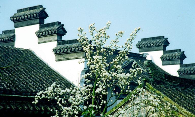 同里古镇景点视频,诗画同里