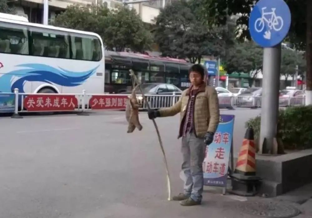 买了一只乌龟有什么预兆,路边800块钱买6只大乌龟