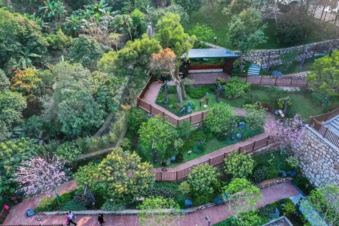 珠海斗门免费公园,斗门公园有哪些