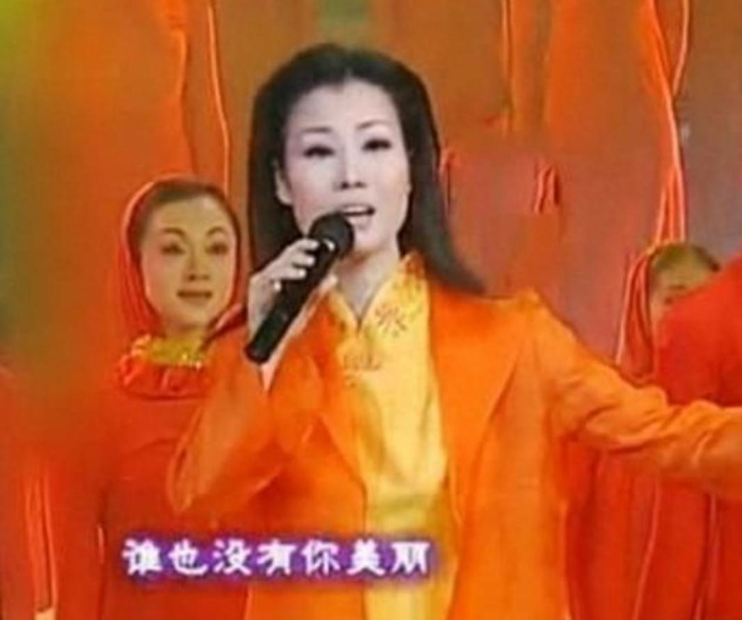 她发烧4天后突然去世,女歌手演出时倒地抢救无效离世