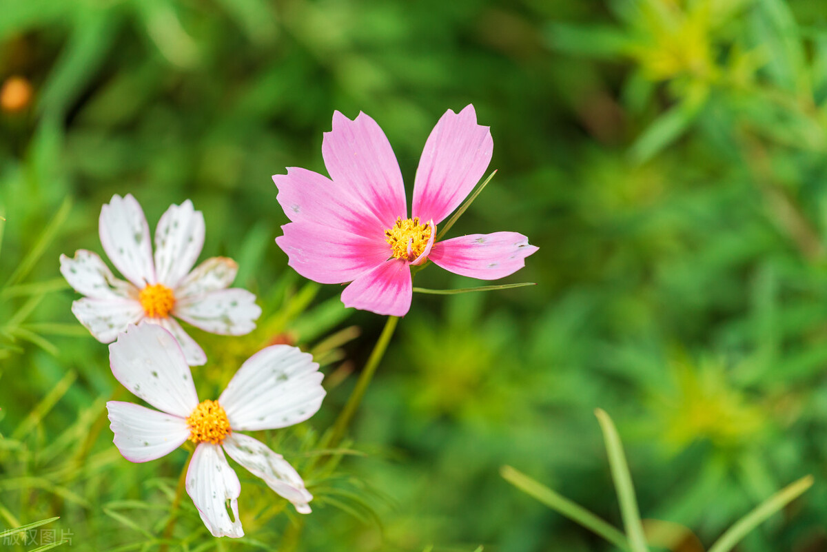 两个人关系冷淡应该怎么解决,两个人关系不好说明什么