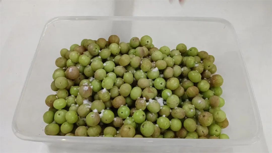 咳嗽吃什么润喉糖胖大海,咳嗽吃油甘果的功效与作用