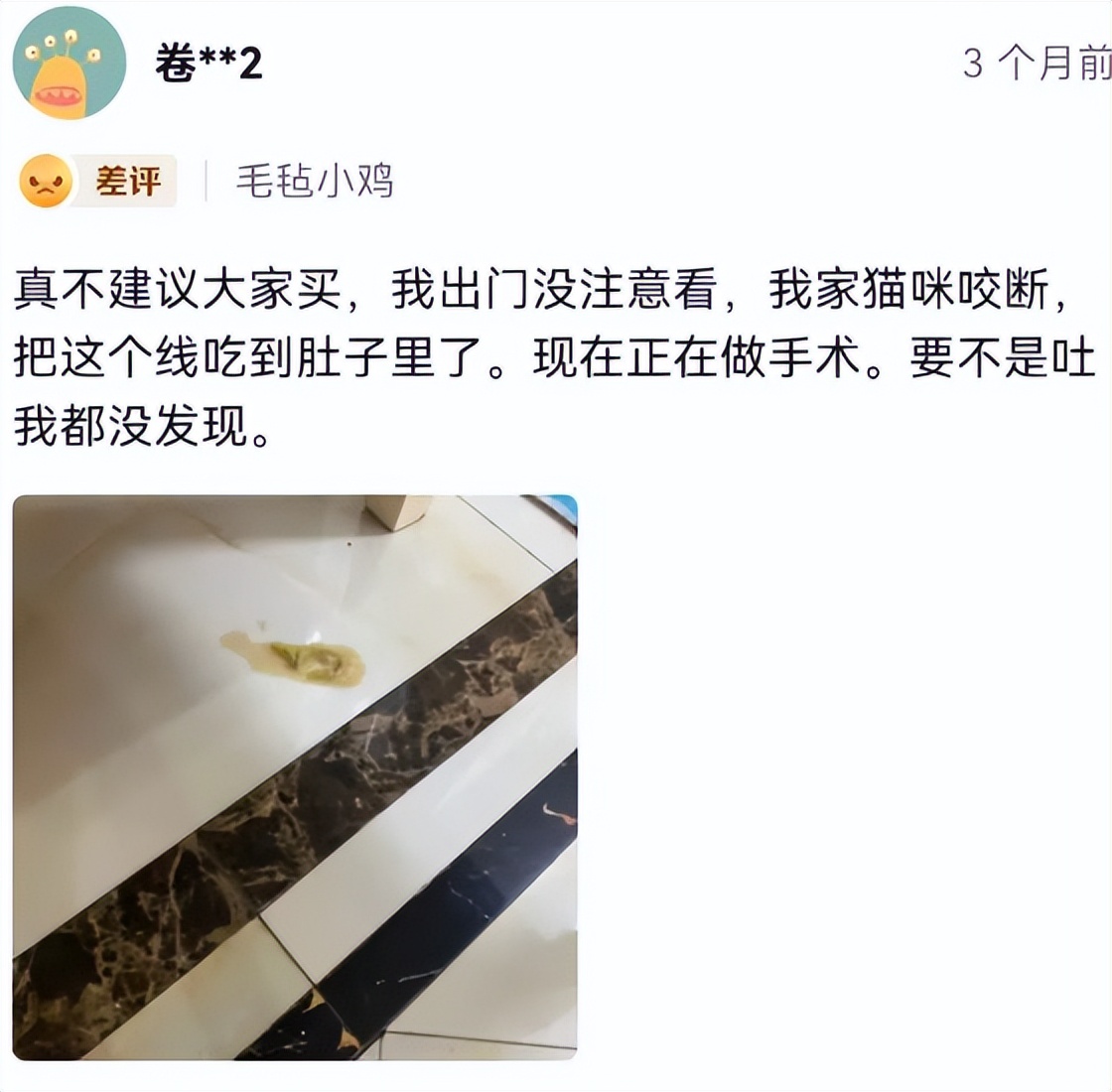 速度扩散，9.9元网红玩具竟成了猫咪的索命凶器？千万别买！