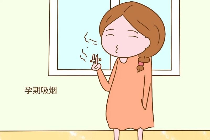 最近怀孕了，本来吃的就少，怎么给胎儿补充营养？