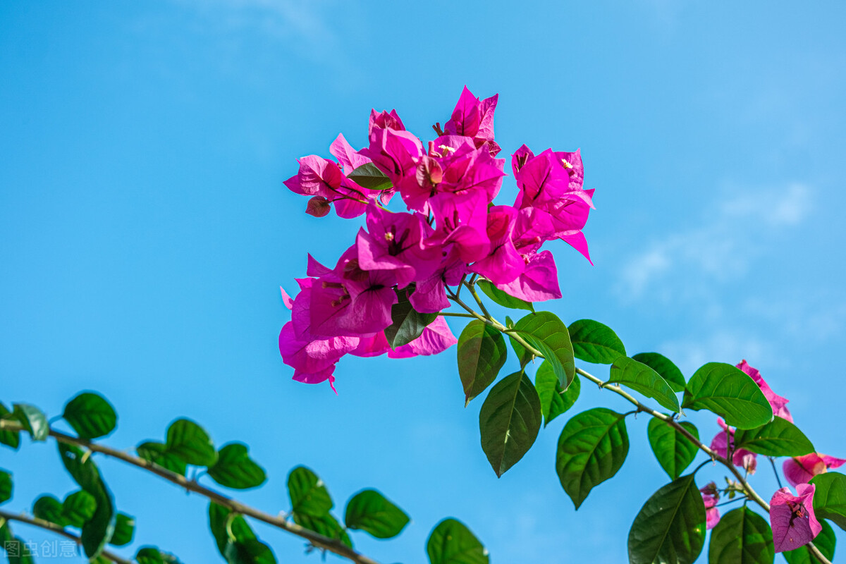 春风十里不如你，山长水远念着你，我在你的远方牵挂你一生