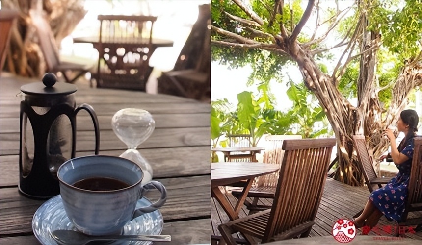 小笠原群岛旅游攻略,日本小笠原诸岛游记