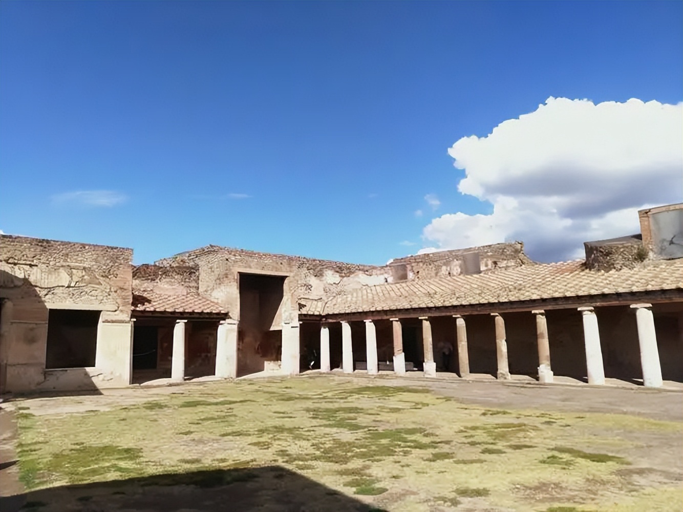 荷兰2000年宣布“性”交易合法，德国紧随其后，造成了哪些后果