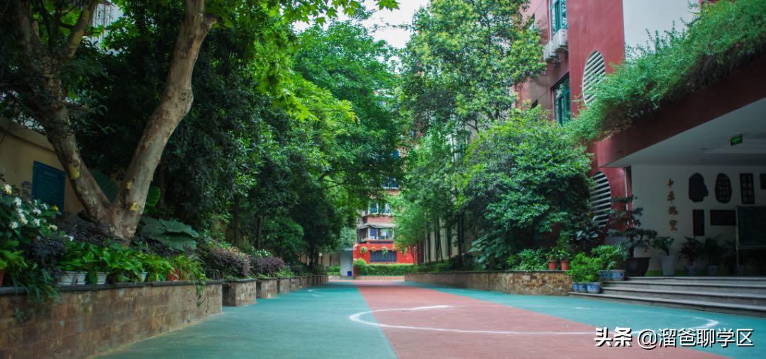 哪些小区上成都七中水井坊校区,哪些小区对口七中育才水井坊