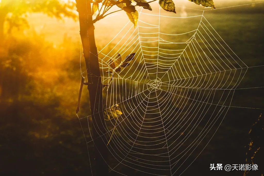 理光GRⅢGRⅢx为什么要双持?