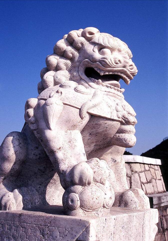 狮子与人类的关系,说说对狮子的了解