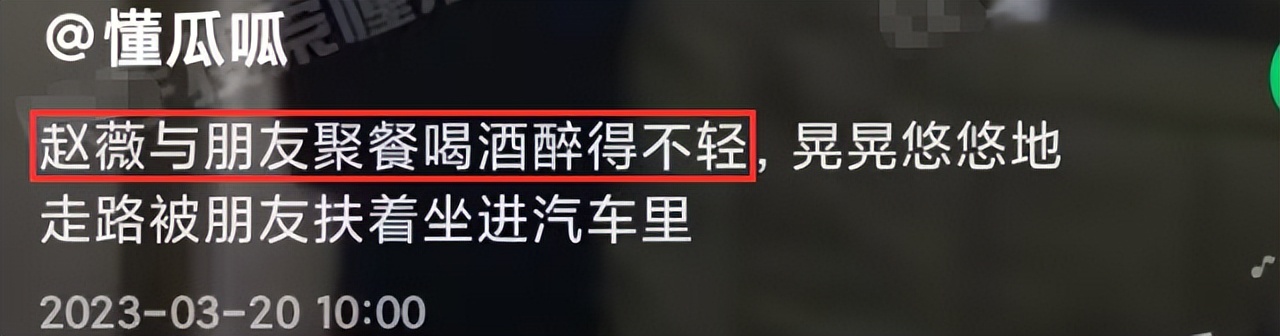 47岁“小燕子”回国参加饭局，醉酒后走路踉跄，需人搀扶坐进车里