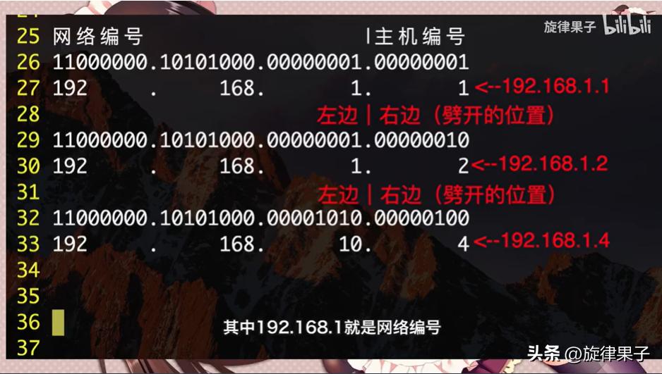 家庭必备网络设备有哪些,网络设备ip地址配置