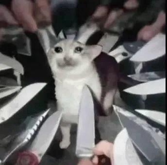 《红茶测评室》第六期－对子哈特频频翻车之谜，究竟偶然还是必然