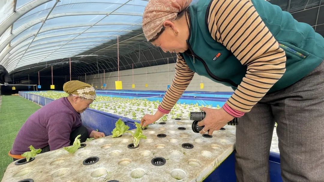 瀹佸崰蹇犳氮瀛愬洖澶翠粖鎴愯嚧瀵屽甫澶翠汉,鏋椾害鍕ゆ氮瀛愬洖澶村涓婅劚璐嚧瀵岃矾