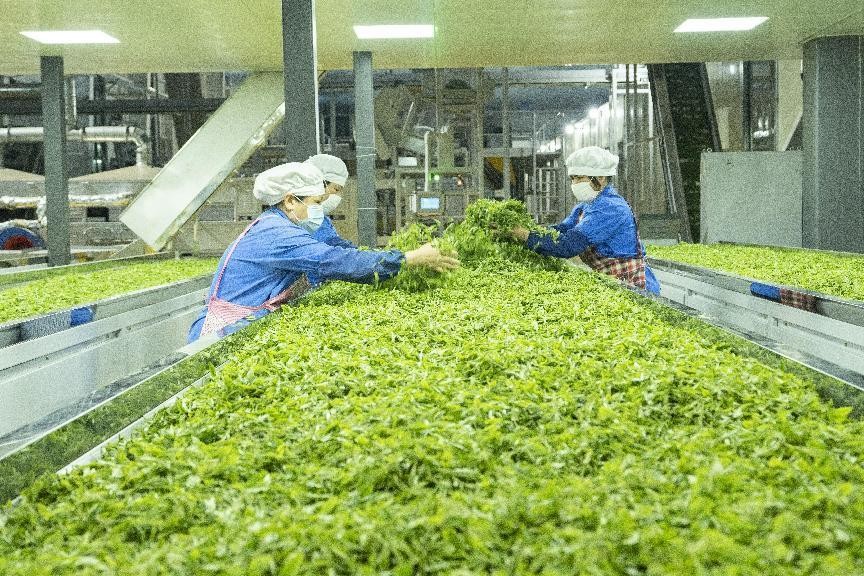 同饮一江水共享南北情,同饮一江水粤桂一家亲