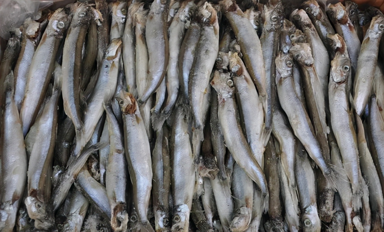 最常见的50种食用鱼吃法和价格,十种常用食用鱼类介绍