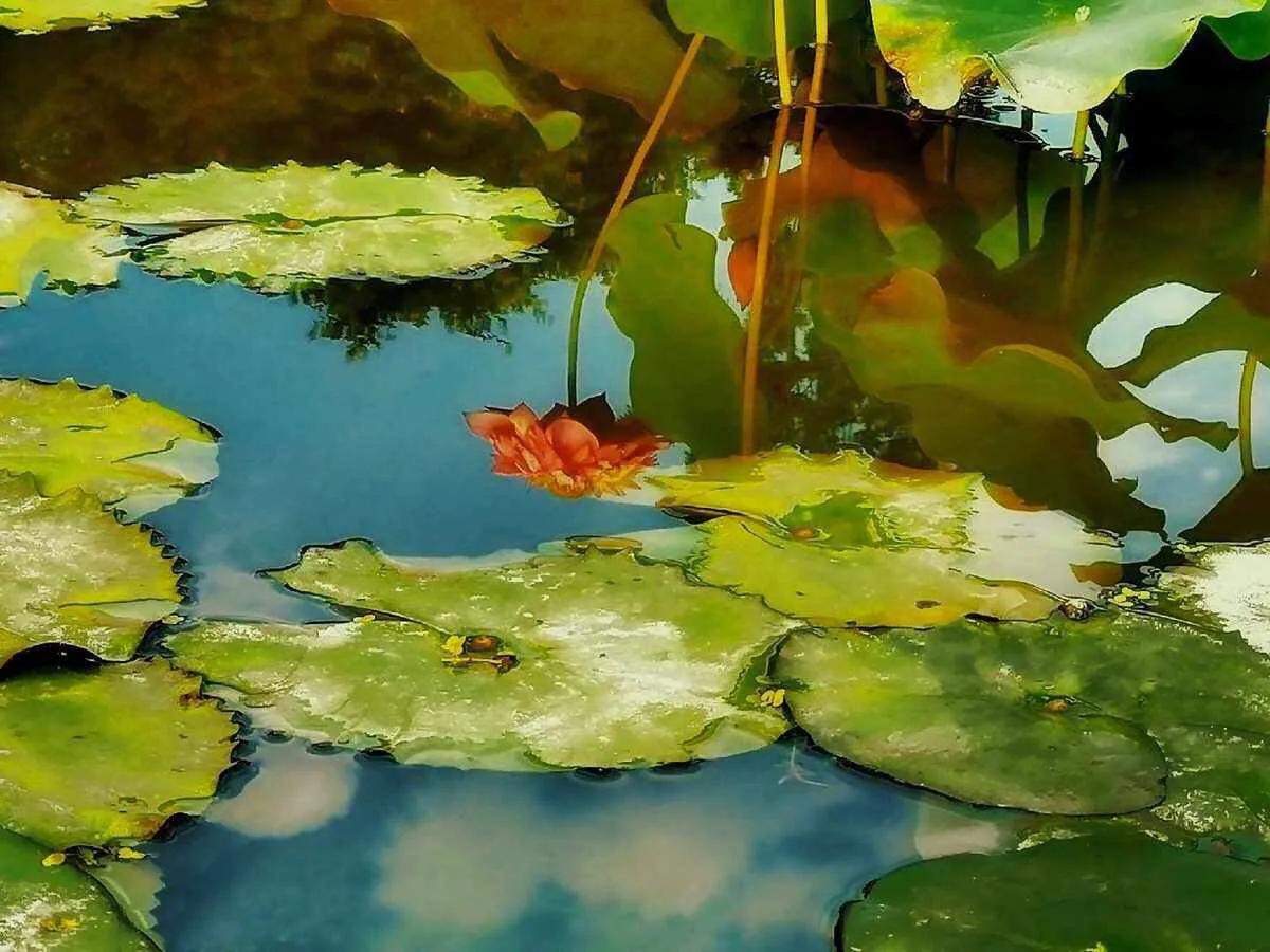 知福惜福造福才最有福,知福惜福造福就是幸福