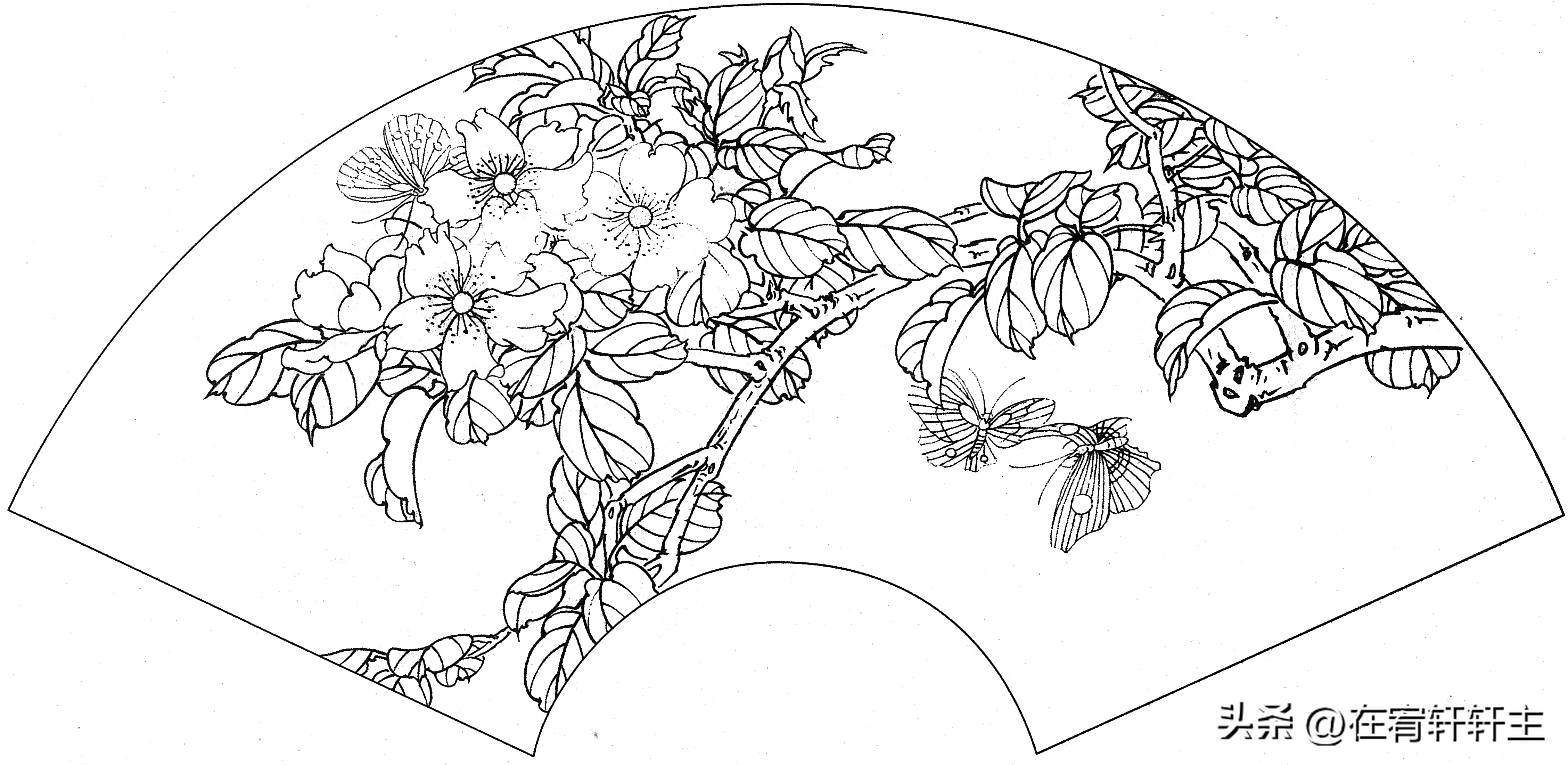 工笔白描祥云图案扇面,工笔扇面葡萄白描图片