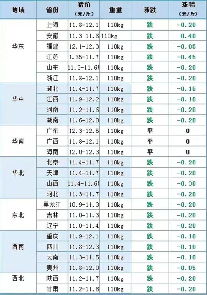 行情突变！9月8日猪价“崩塌预警”，玉米、鸡蛋、油价“太揪心”