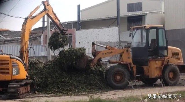 今年315都曝光了哪些,今年315都爆出了哪些坑