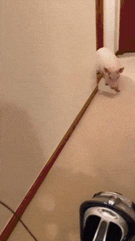 想问这姑娘衣服在哪买的,会不会挨揍?亮点