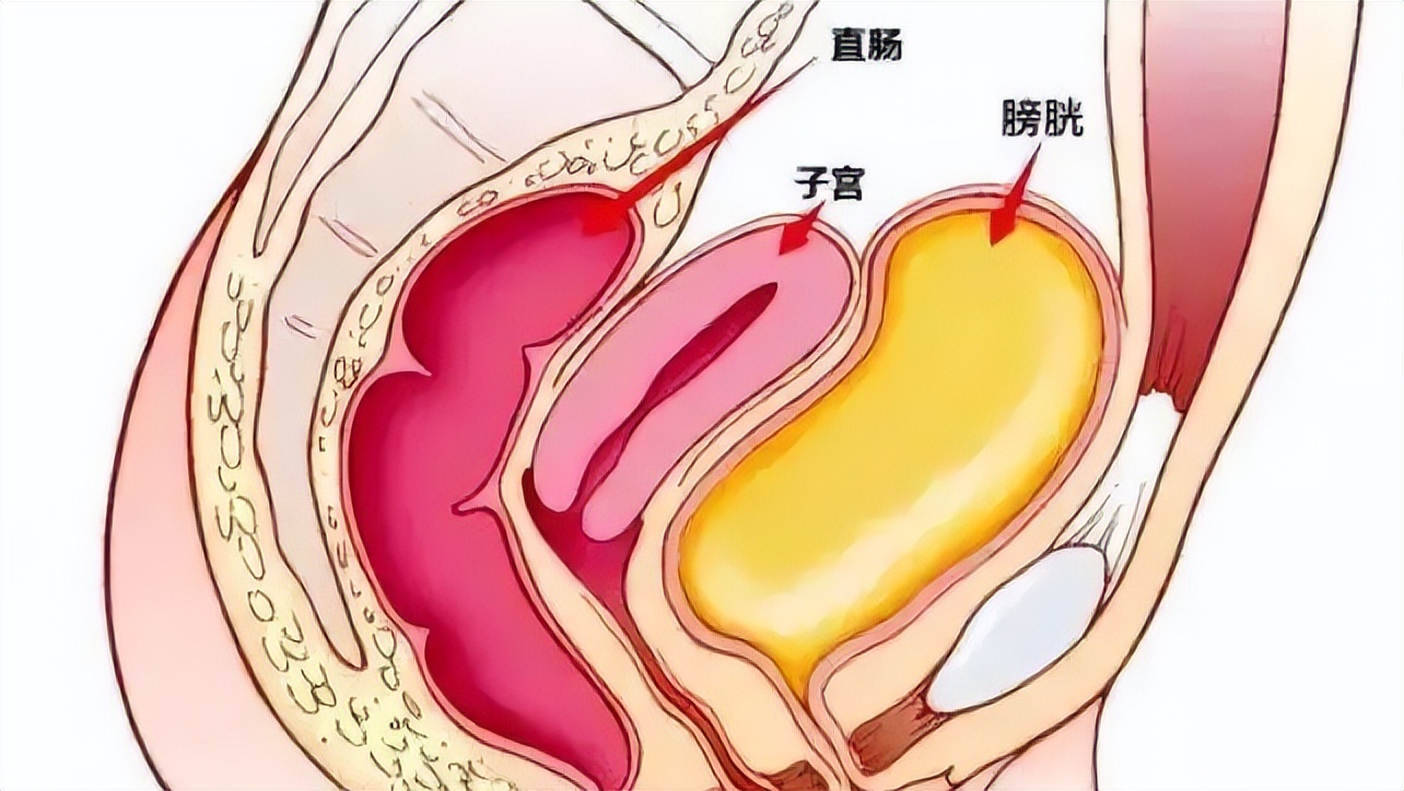绝经后切除子宫对身体有什么影响,子宫脱垂切除子宫对身体有影响吗