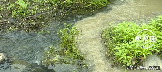 塑料颗粒厂是污染环境的厂子吗,环保查到塑料颗粒厂子怎样处理