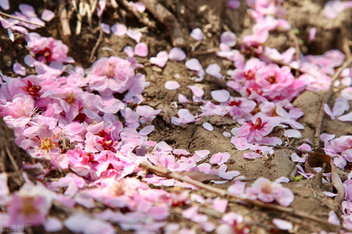 真正的有钱人和虚假的有钱人穿搭,真正的有钱人是什么样子的