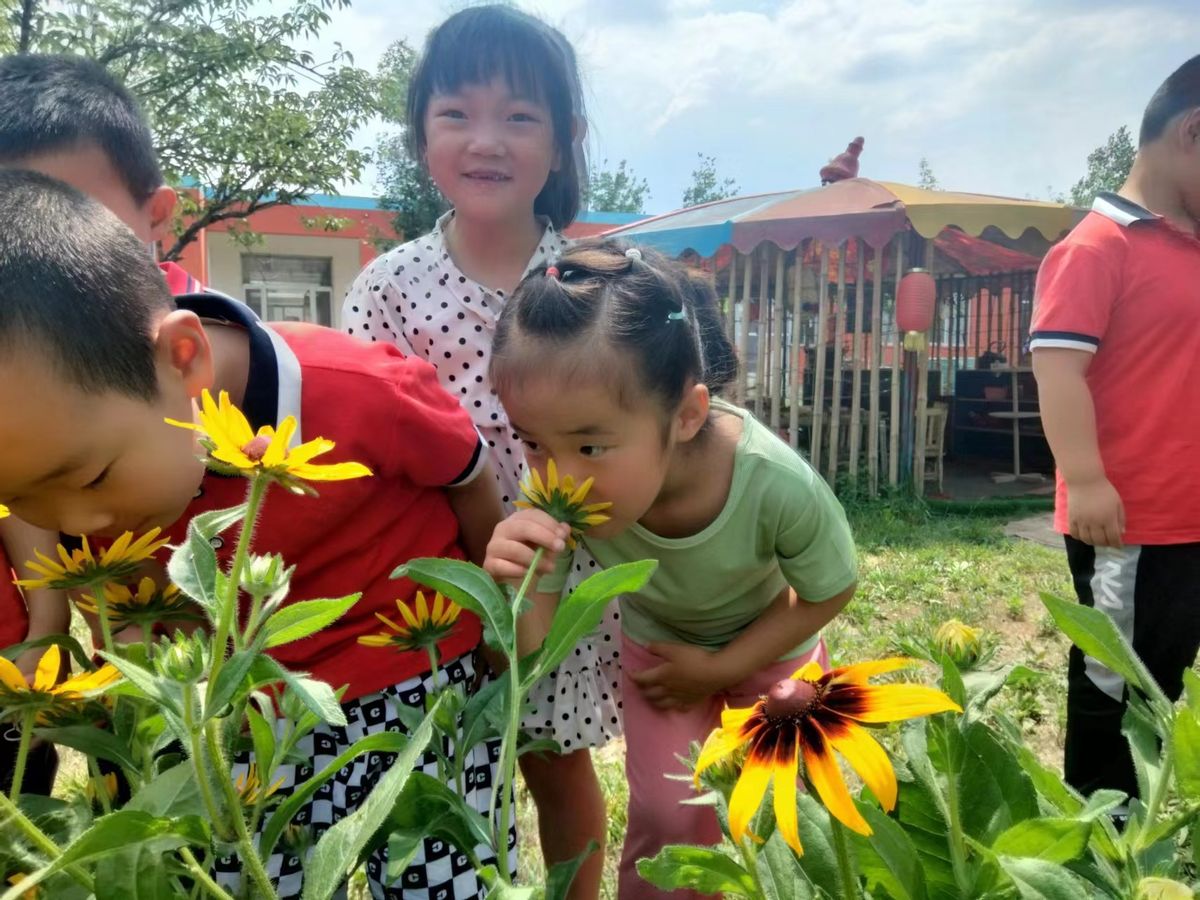 盛夏如花、向阳如初--道朗镇鱼池幼儿园赏花集锦