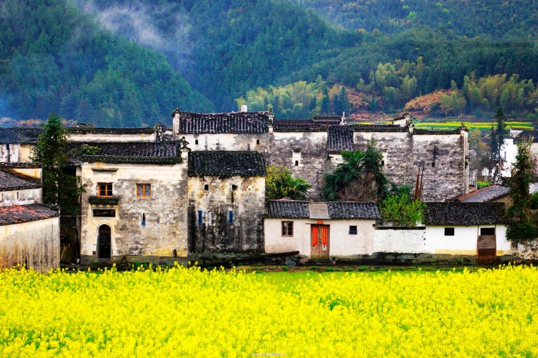 10首最美的春日诗词鉴赏,绝美春日诗十首