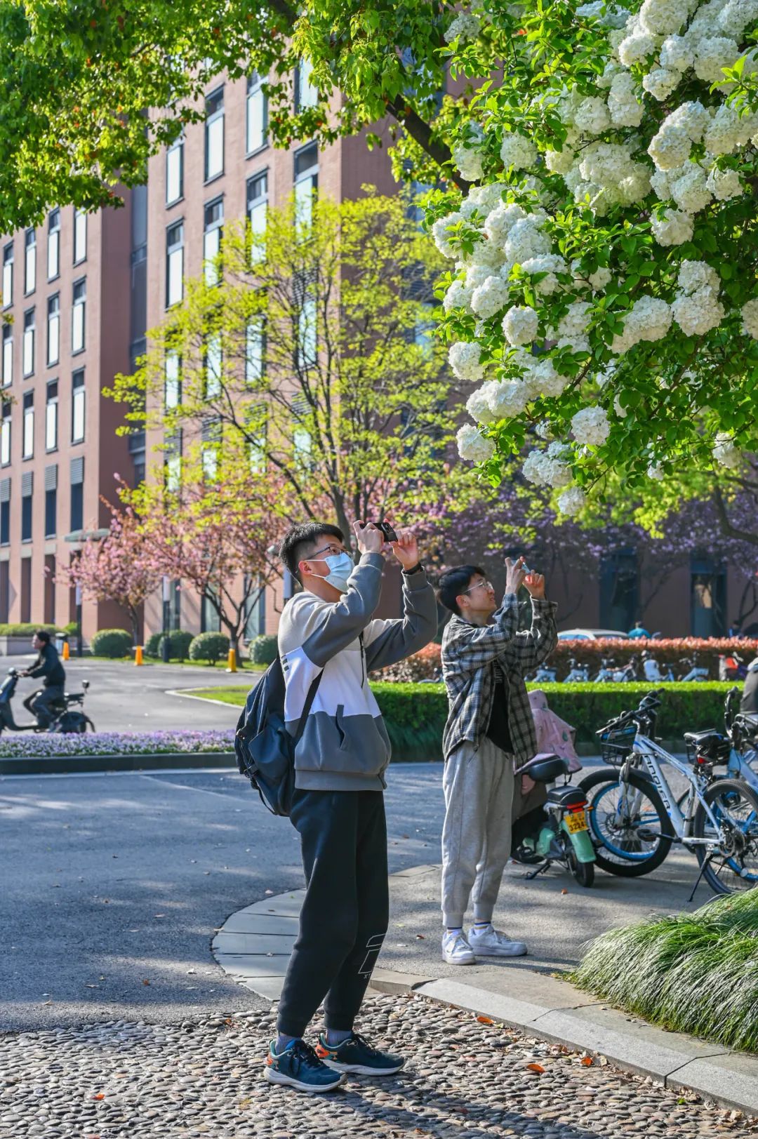 浙江大学中国最美校园,浙江大学玉泉校区校园