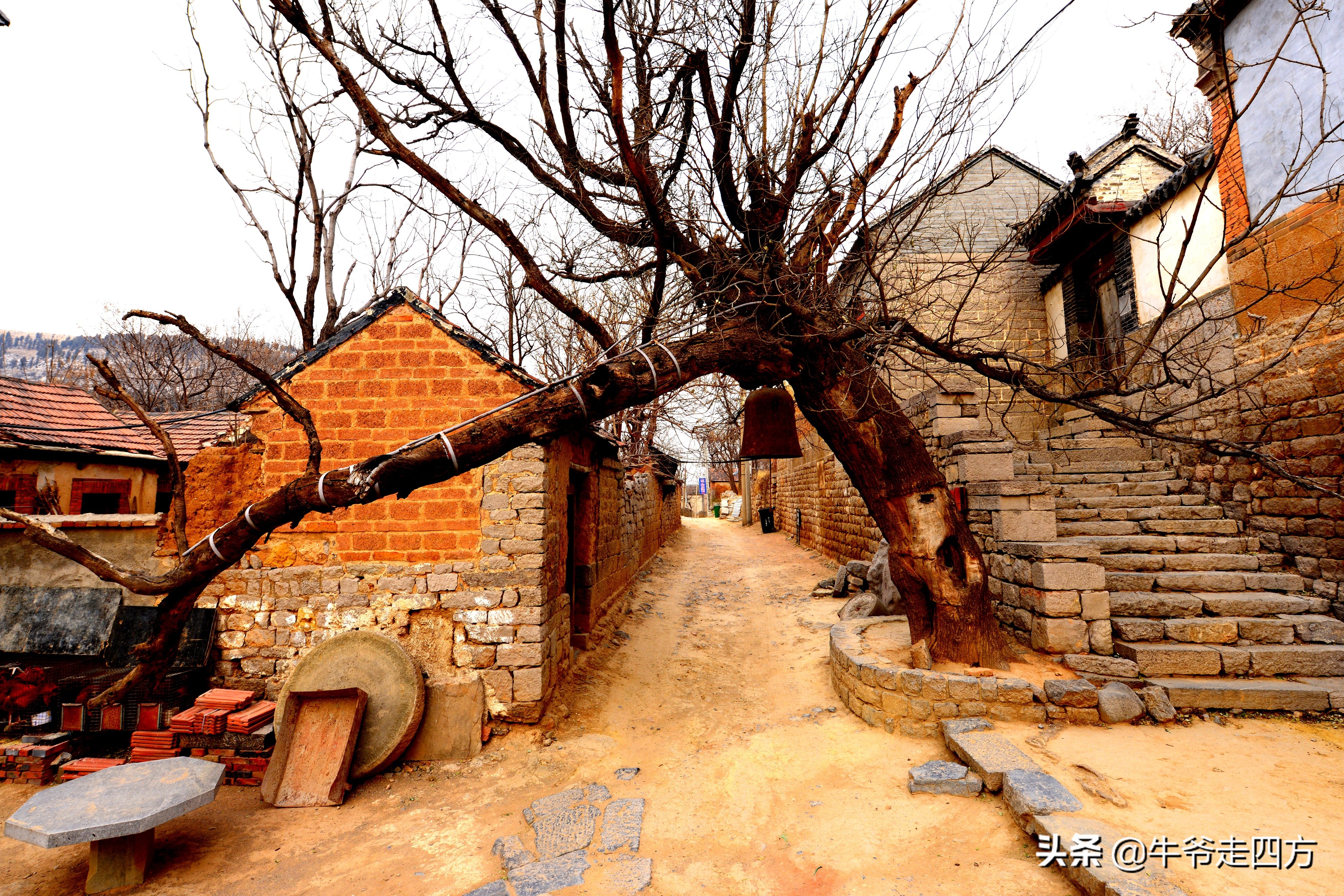 齐鲁第一古村是哪里,齐鲁第一古村江北