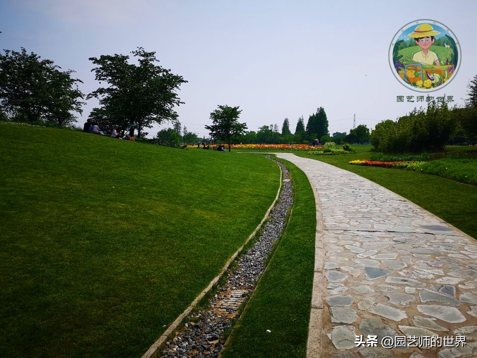 疏林草地的作用,疏林草地效果图