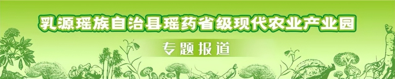 征集下联!乳源瑶药产业园区域公用品牌广告语第二轮征集活动开始啦