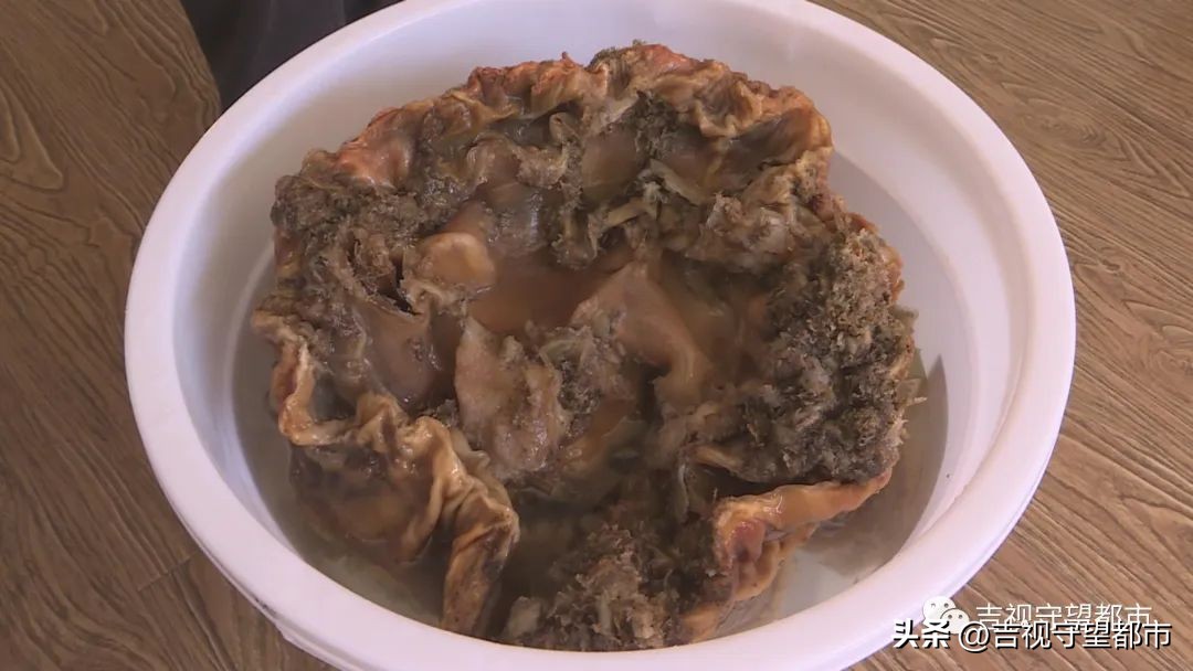 男子捡到太岁天天喝水,记者在河边采访村民捡到太岁