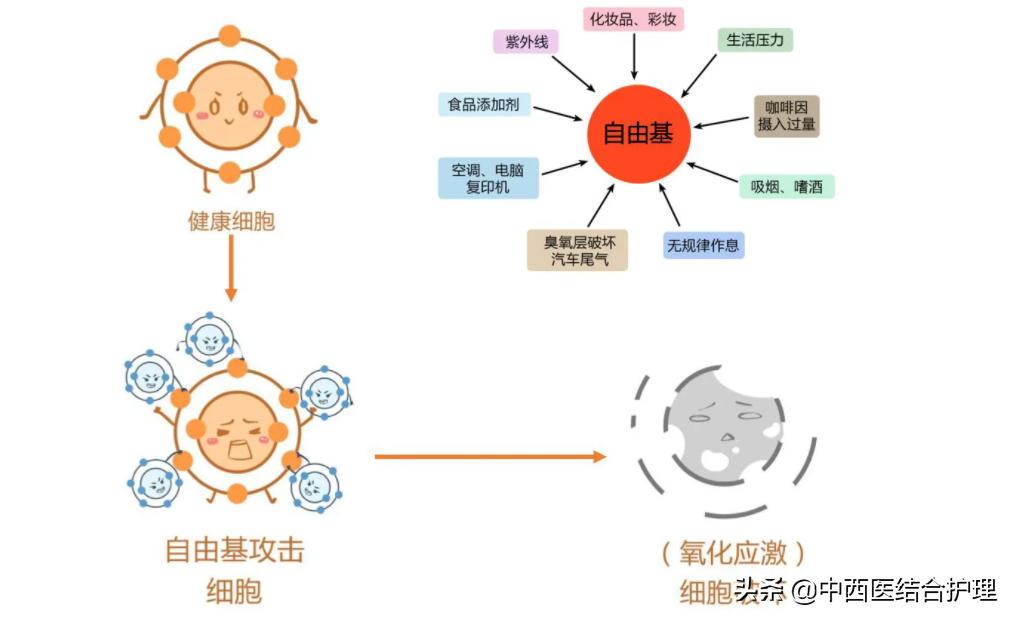 医生谈维生素e加凡士林美白,维生素e软胶囊能抹脸能抗衰老吗