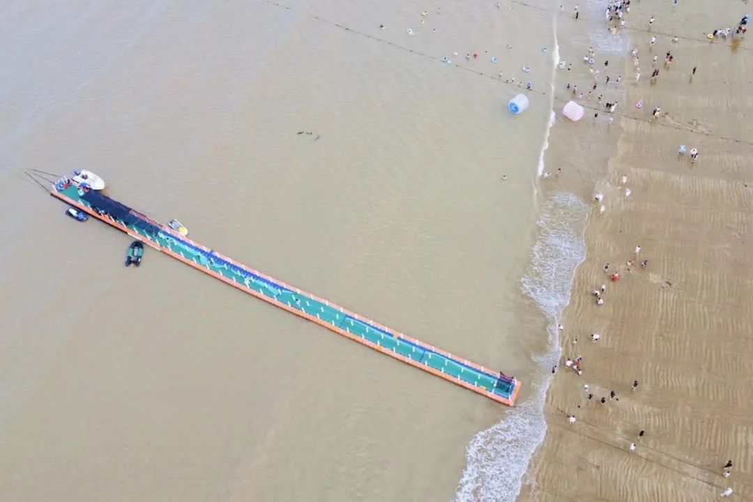 真吃不下了,这个靠海吃海的小县城怎么就能这么好吃