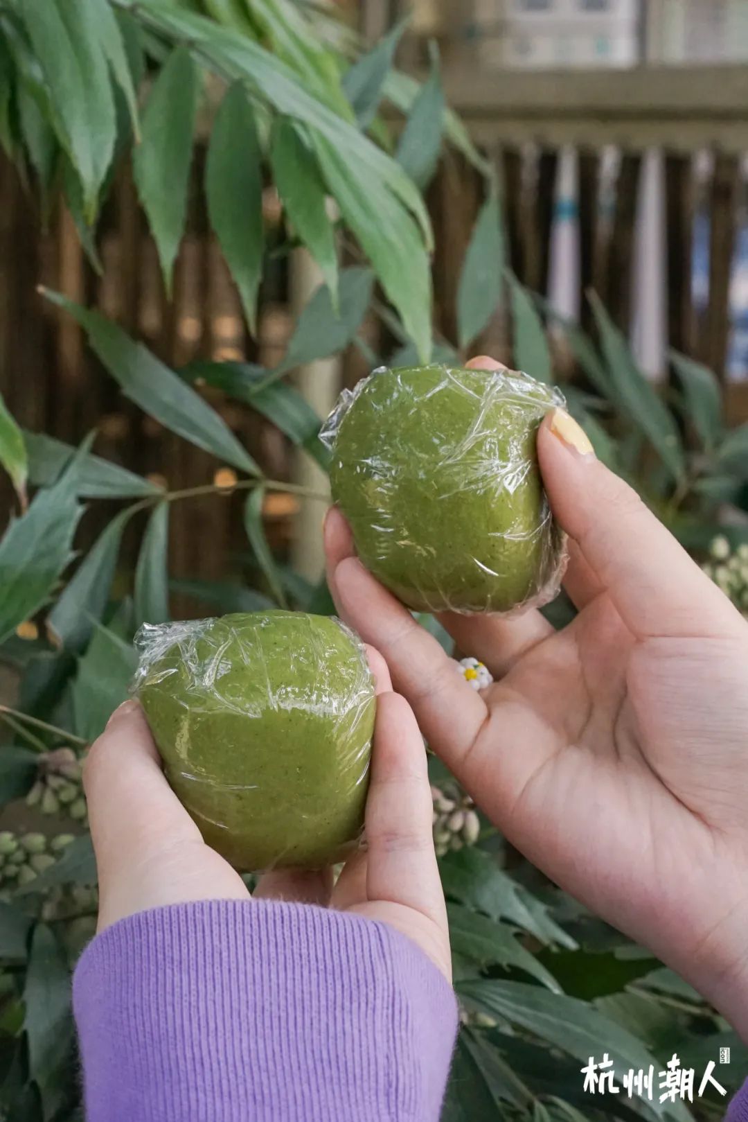 青团推荐哪个牌子,11款超奇葩青团