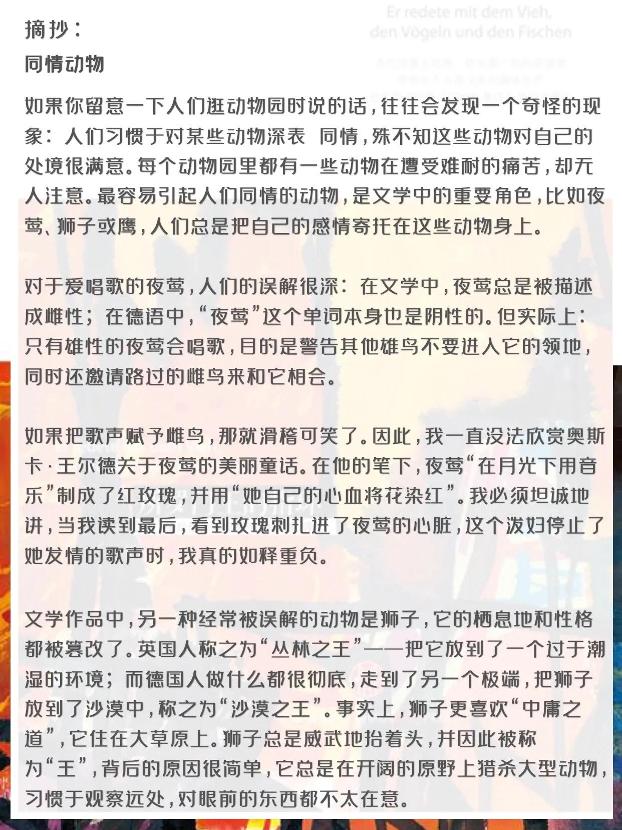 所罗门王的指环在线读,所罗门王的指环读书交流