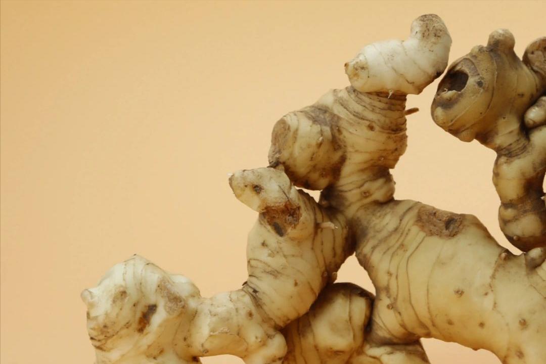 李时珍九种药材增高药方,李时珍称什么为补药之长